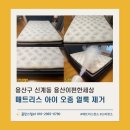 용산-439 | 서울 용산 매트리스 청소 잘하는 곳_아이 오줌 냄새 제거 습식청소 후기 (ft. 용산이편한세상)