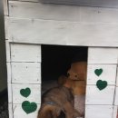 다리쉼