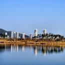 영 행정사사무소 이미지