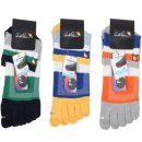 태영스포츠 이미지