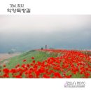 자연에 품 이미지