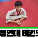 용인대멘토태권도 이미지