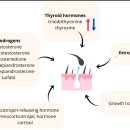 모멘텀헤어라인의원 이미지