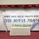 보나르떼디자인