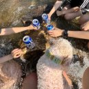 UR(광주시)-[광동로]-하-3 | 경기 광주 퇴촌 반려견 동반 가능한 계곡 인근 펜션 추천 - 드리밍하우스