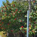 스포원파크 이미지