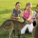 말무리염소농장 이미지