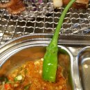 돼지야&닭 이미지