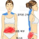 금쪽피부