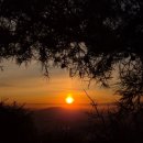 민가한의원 | [일상] 1월 모아보기