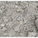 월천농장 이미지