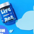 라이프약국 이미지