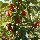 옹달샘농장 이미지