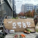 공원앞 호박농원 이미지