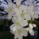 경기대학교 대체의학대학원 이미지