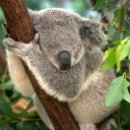 정림쌈장명가 이미지