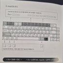 소울캣 | spm 66b+소울캣 키캡+TTC 아이스프로즌 스위치