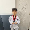 올바른 태권도 | 태권도 띠 색깔 승급 부모 참여 수업 후기