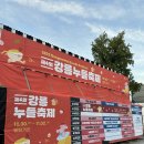 경포몽애견펜션 이미지