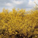 산수유민박 이미지