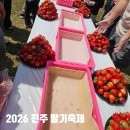 진서중학교 | 진주 딸기축제 2026 토요일 행사 후기