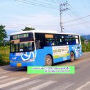 안막2구 이미지