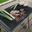 돔스토리휴양펜션 | 🌊 [미니 비숑 비비의 첫 여행] 강화도에서 찾은 웃음꽃 🌸 드라이룸 완비 완벽한 애견 펜션 후기 💕