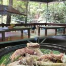 헬로PC플라자 이미지