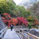 청송LPG충전소 이미지