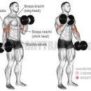 아트지짐PT 이미지