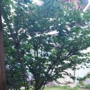 황금회관 이미지