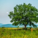 소리공인중개사사무소 이미지