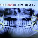 마로니에치과 이미지