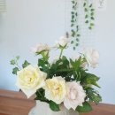 새롬 건축사사무소 이미지