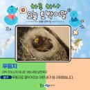 둥지 이미지