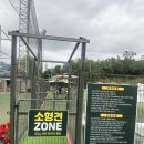 강아지놀이터 이미지