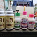 선태농장 이미지