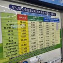 일출로,성산등용로 | 제주 성산에서 우도 유람선 도항선 매표소 이용후기