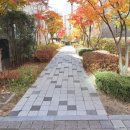 고운공인중개사사무소 이미지