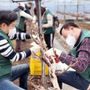 남서울농협 이미지