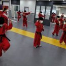 코리아 합기도 이미지