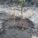 둥지2농장 이미지