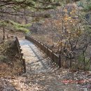 부산민들레산악회:2025년1월5일:제521차:냉산(태조산:692m):도리사:신라최초의사찰역사새해첫테마/산행 안내 이미지