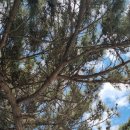 영신당약국 이미지