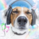 화통콘서트 | 갈테야 갈테야 터치드 콘서트에 갈테야