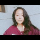 딜라잇써니