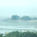 바르바커피 이미지