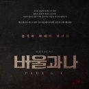 바울 bnt뉴스