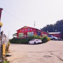 선녀풍스시덤