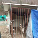 한울오토캠핑장 | 원주 한울 오토캠핑장 후기, 사이트 추천!
